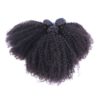 Brazilian Afro Kinky Bundle Deal