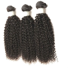 Brazilian Kinky Curly Bundle Deal